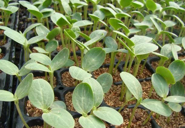 ��������Ҫ���������|�x�ò����٣�һ���W������x��������|