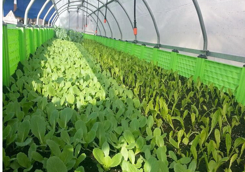 ��ʲôҪ��������|��������|��ʲô����